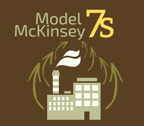 model 7s mckinsey